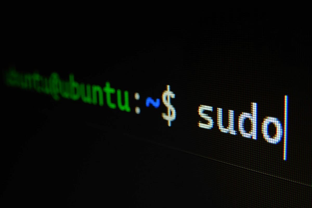Code terminal, Nuggets multiplayer server